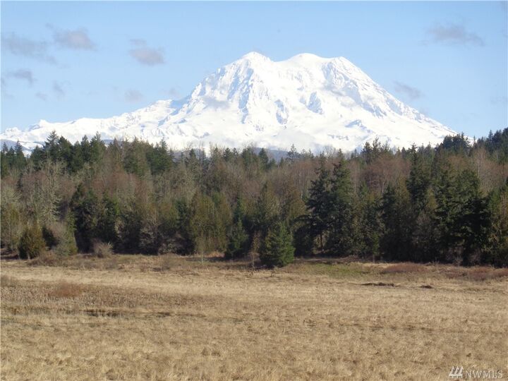 Property Photo:  43003 22nd Ave E  WA 98328 