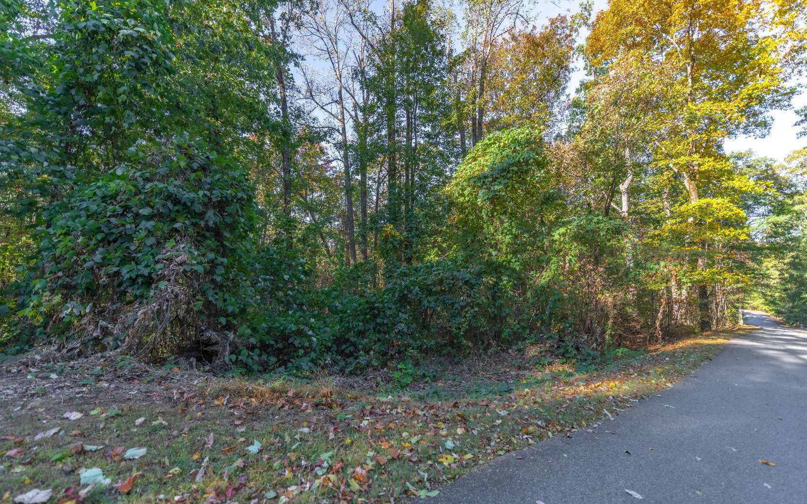 Property Photo:  Lt284 Altamaha Drive  GA 30540 