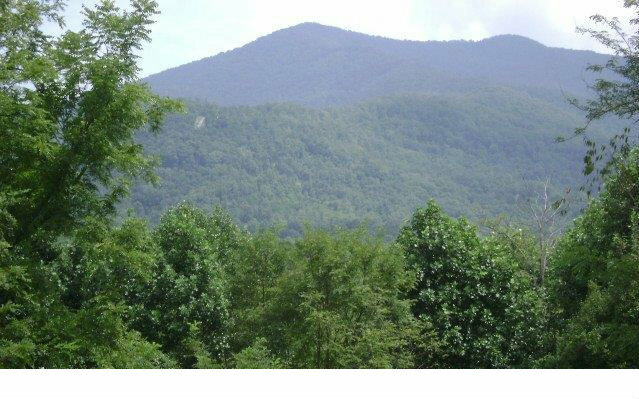 Property Photo:  Trackrock Gap Road  GA 30512 