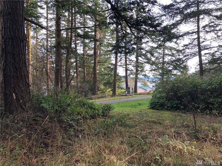 156 Center Island  Center Island WA 98221 photo