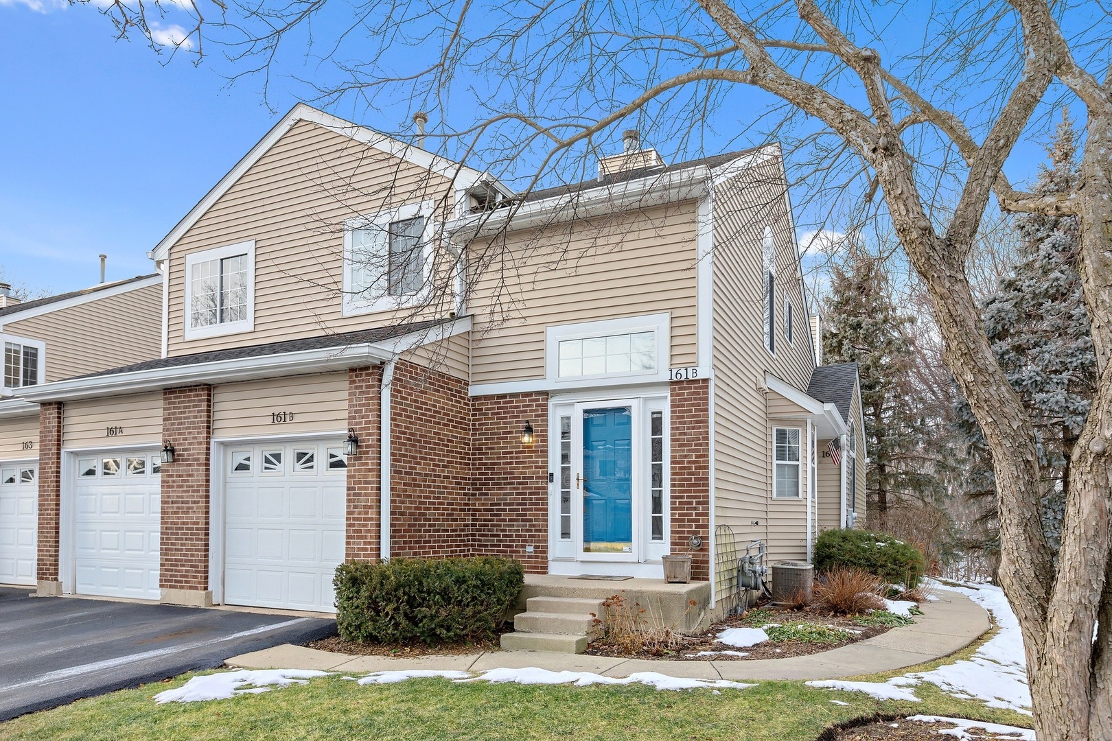 Property Photo: 161 Winchester Drive B IL 60107