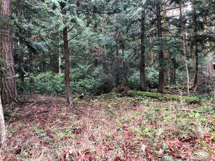 74 Center Island  Center Island WA 98221 photo