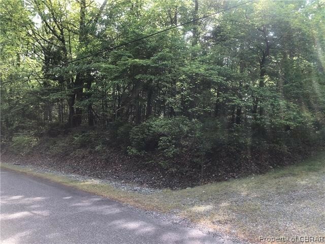 Property Photo:  Lot 48A Belmont Road  VA 22503 