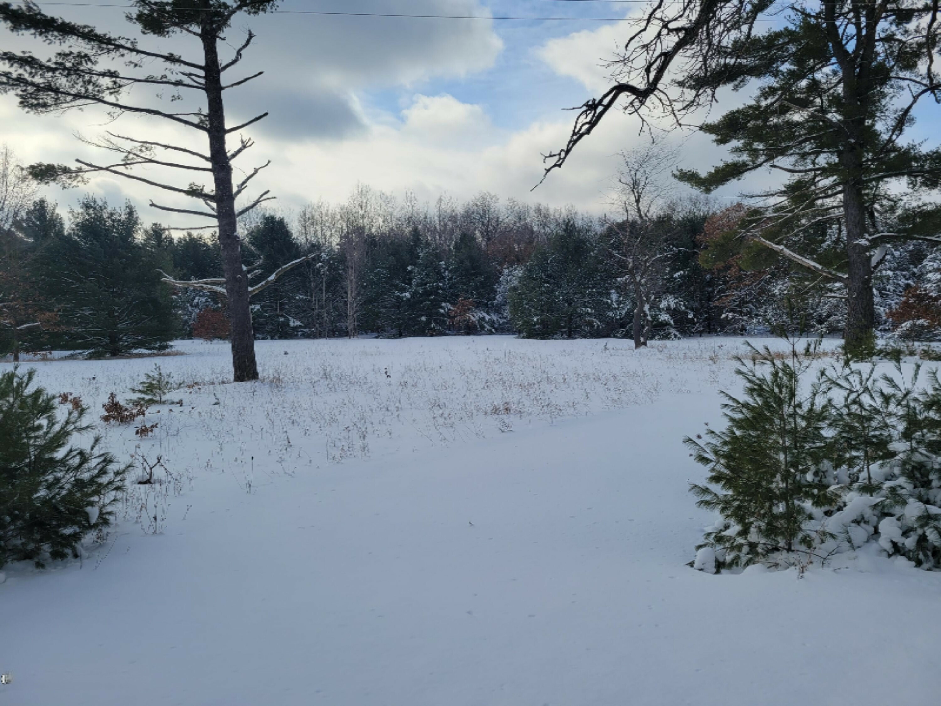 Property Photo:  Cutler Road  MI 49337 