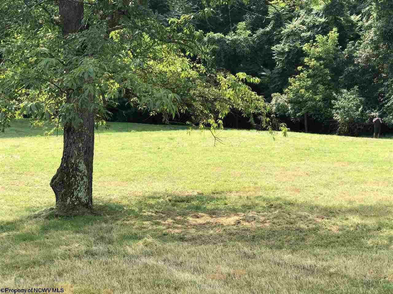 Property Photo:  470 Michigan Avenue  WV 26501 