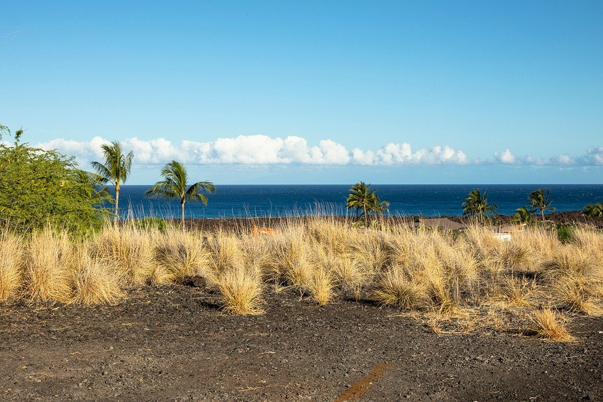 72-3205 Kapuahi Manini Pl  Kailua-Kona HI 96740 photo