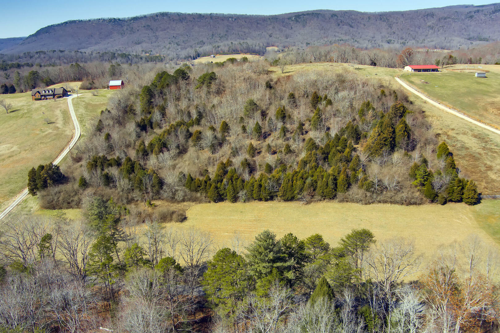 Property Photo:  260 Waldo Rd  TN 37854 