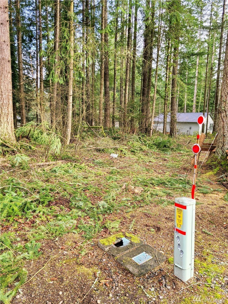 Property Photo:  17903 Upland Dr SE  WA 98597 