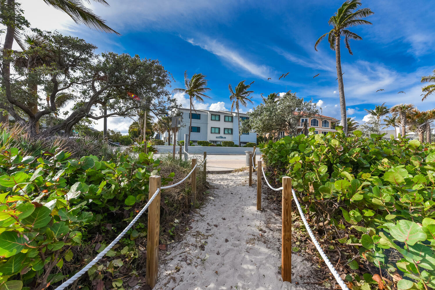 Property Photo:  250 S Ocean 275 Boulevard 275  FL 33483 