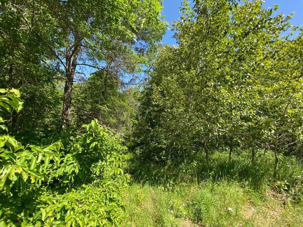 Property Photo:  Tbd Mikes Road SW  MN 56601 