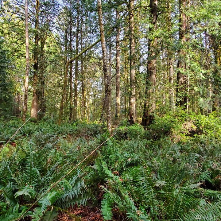 Property Photo:  162 E Nantucket Rd  WA 98584 