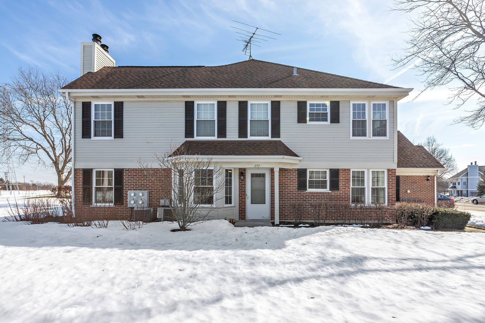 Property Photo:  257 E Fabish Drive  IL 60089 