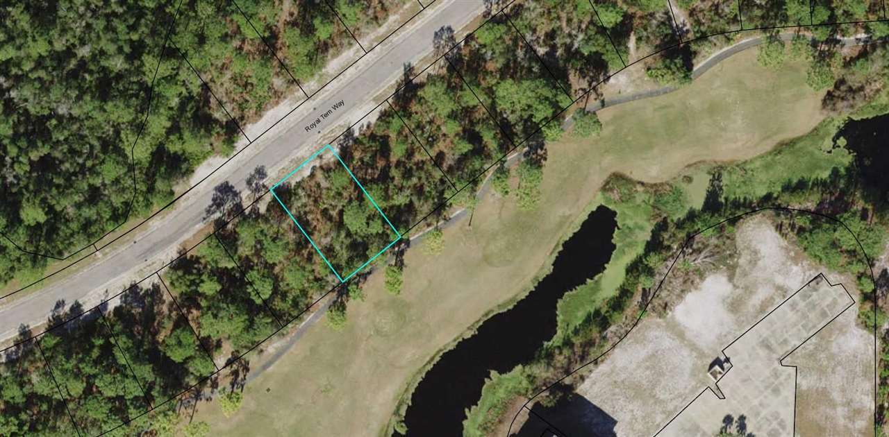 Property Photo:  407 Royal Tern Way  FL 32322 