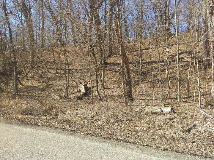 1207 N Jones Hollow  Peoria IL 61604 photo