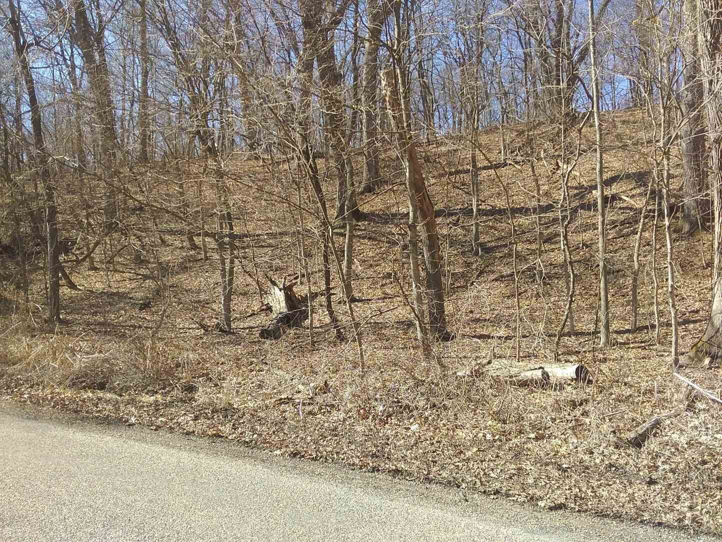 Property Photo: 1207 N Jones Hollow IL 61604