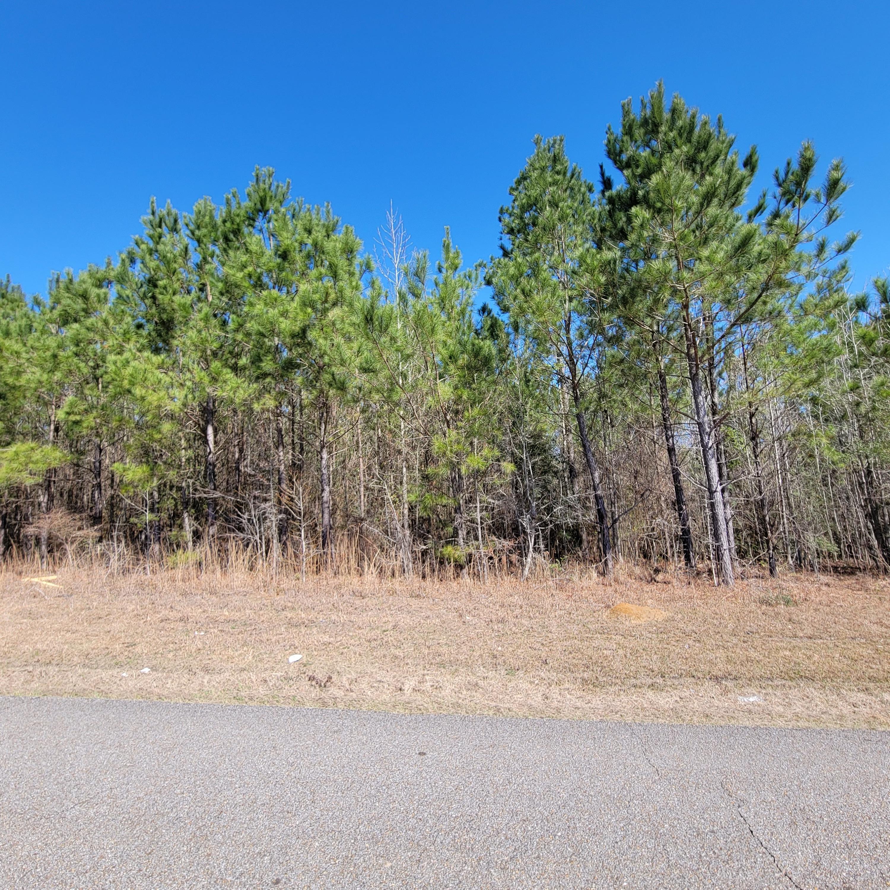 Property Photo:  000 Hensarling Rd.  MS 39465 