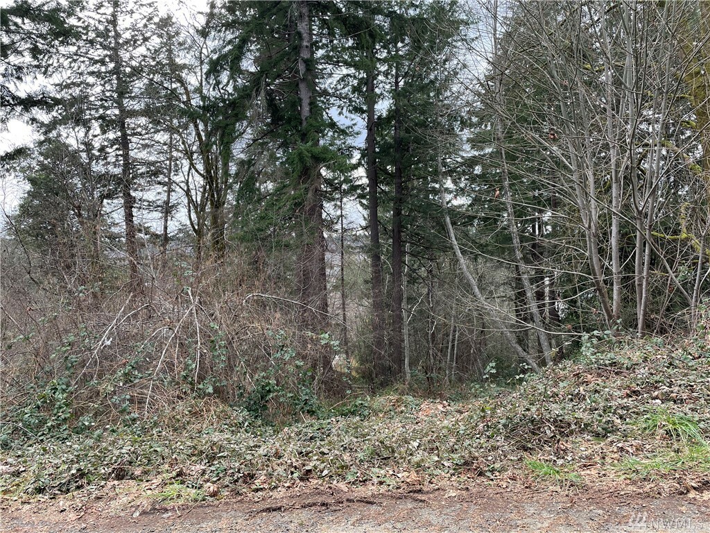 Property Photo:  0 Lot 17 Panorama Dr  WA 98584 