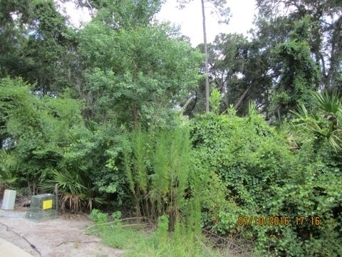 Property Photo:  109 Spanish Moss Court  GA 31558 