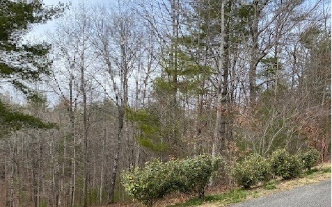 Property Photo:  Lt26 Meadow Brook Trail  GA 30560 