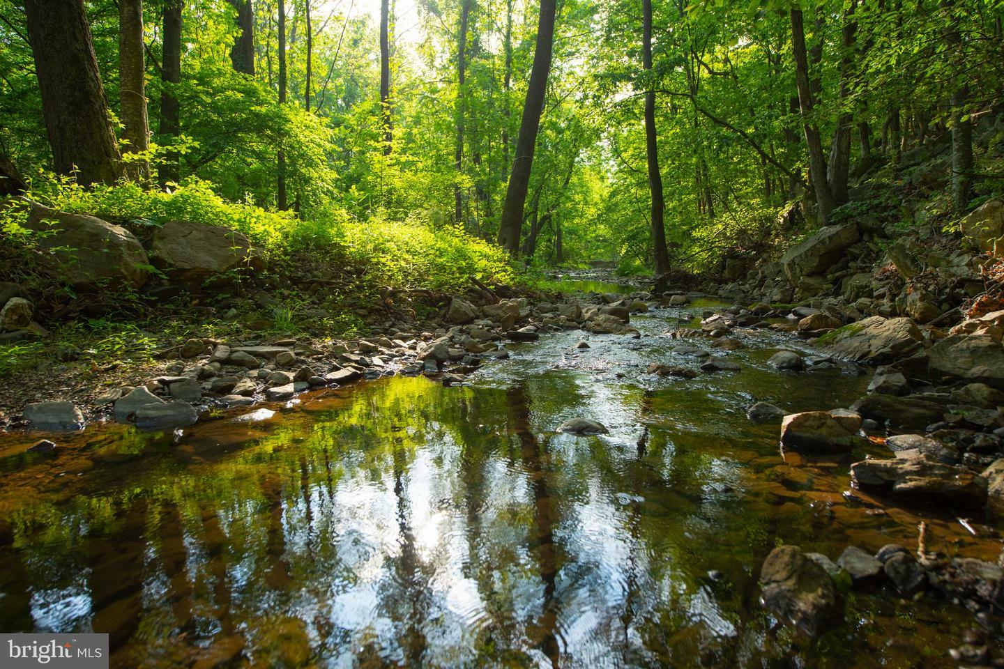 Property Photo:  Basin Hollow Road  VA 22851 