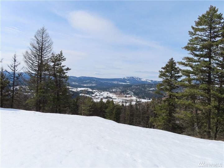 Property Photo:  Lot 39 Union Ridge Rd  WA 99166 