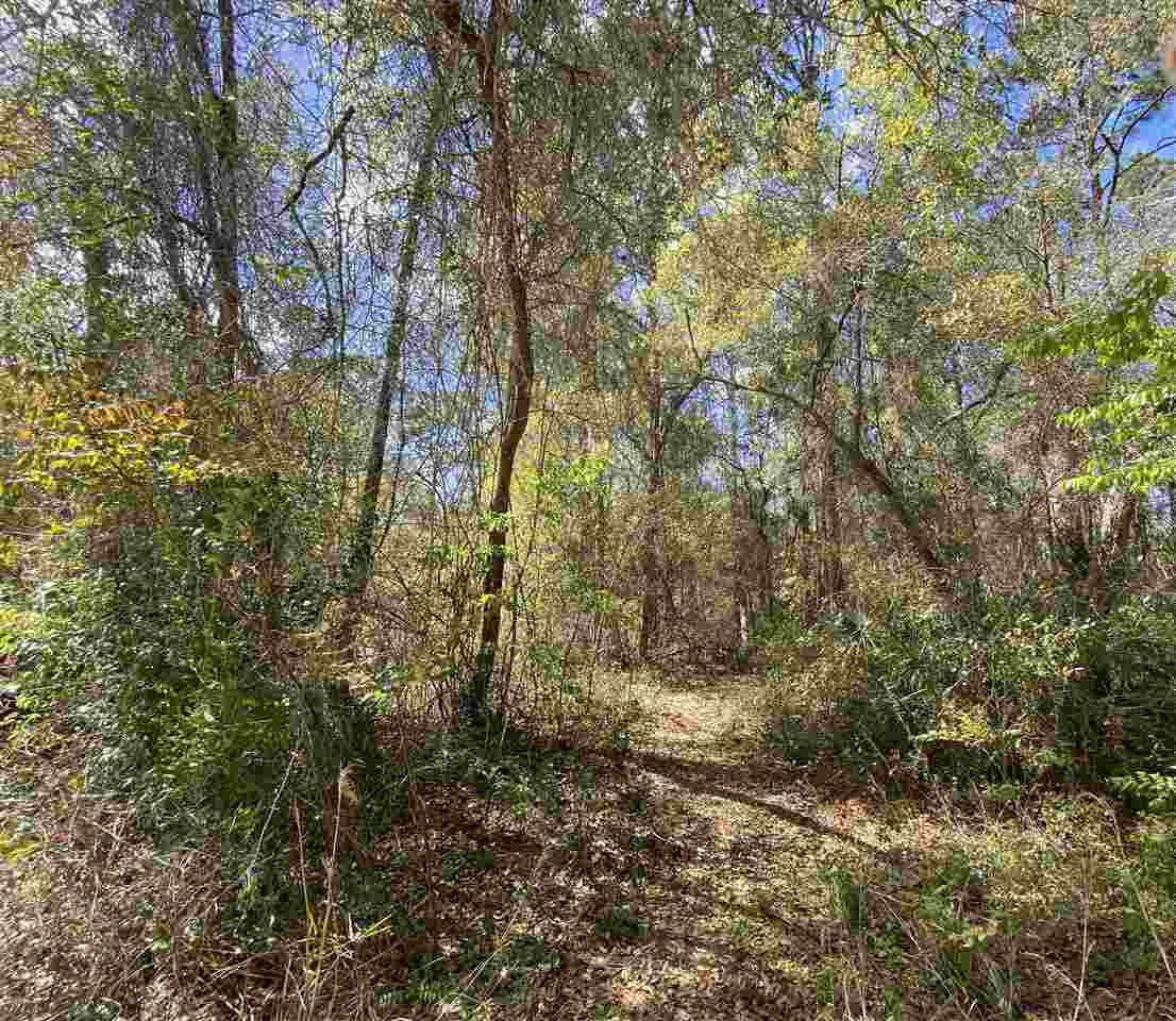 Property Photo:  0 NE 112th Court Road  FL 32134 