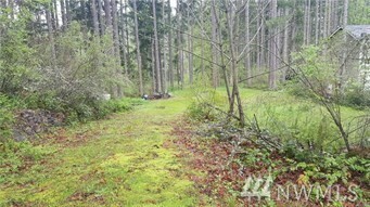 18214 Big Fir Ct SE  Yelm WA 98597 photo