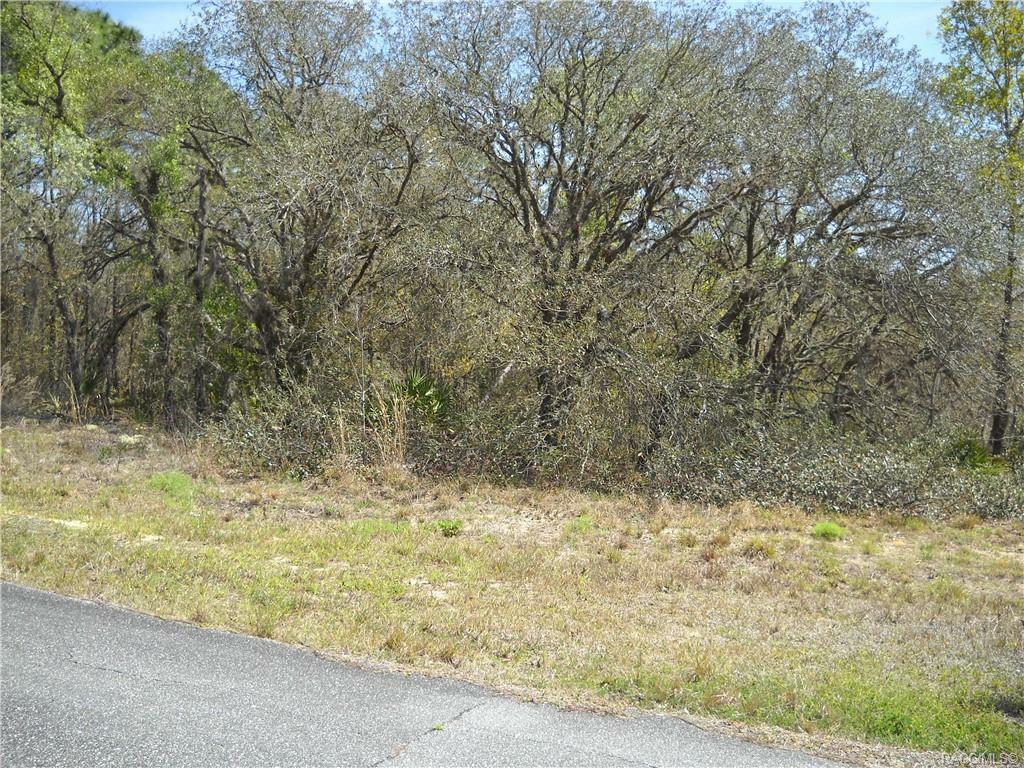 Property Photo:  6577 N Airmont Drive  FL 34434 