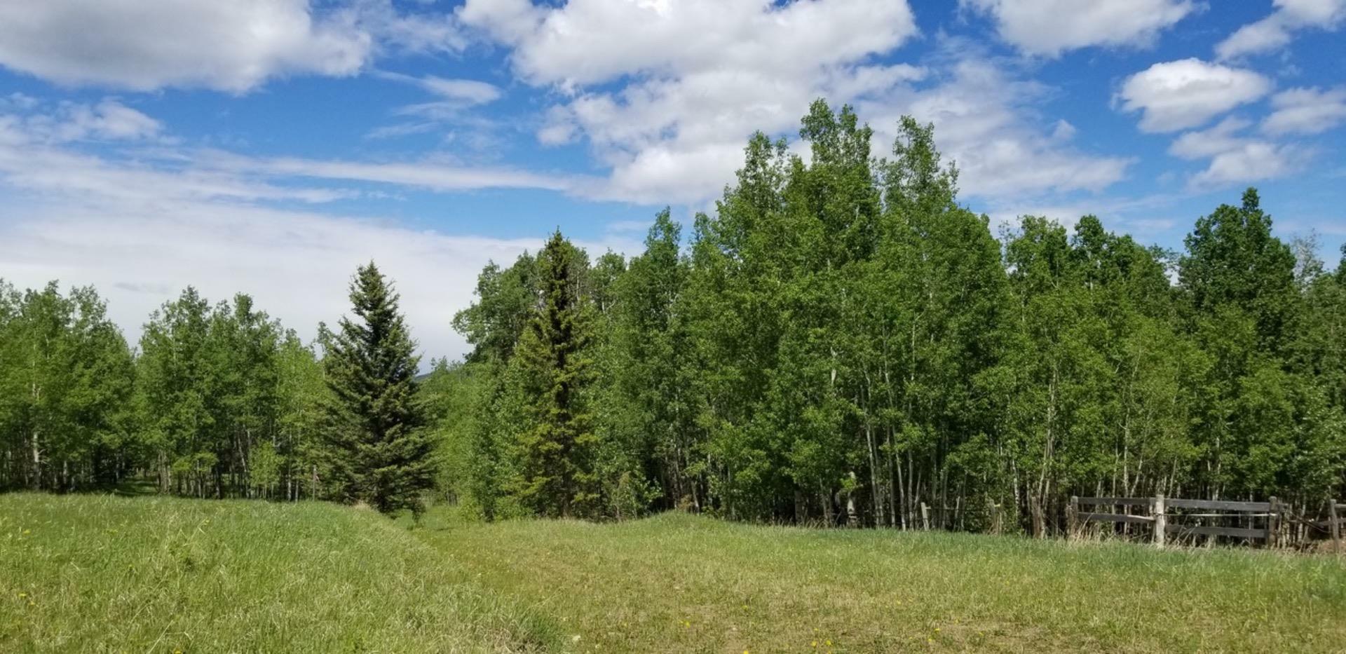 Property Photo:  5.78 Acres Parkins Road  AB T0L 1K0 