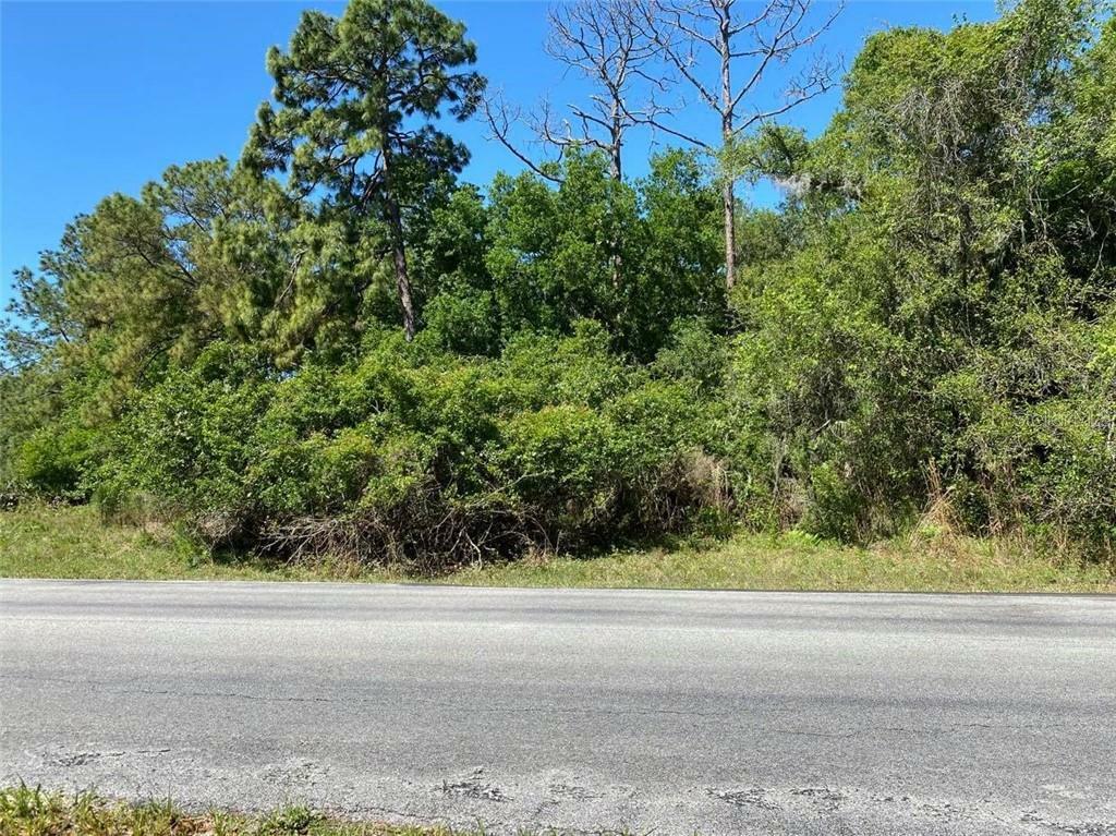 Property Photo:  8541 Woodleaf Boulevard  FL 33544 