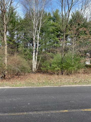 Property Photo:  Lot 122 Fox Farm Road  MI 49660 