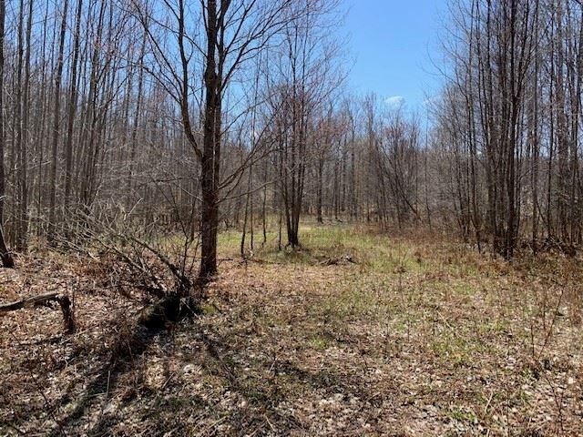 Property Photo:  Tbd Lechowicz  MI 49755 