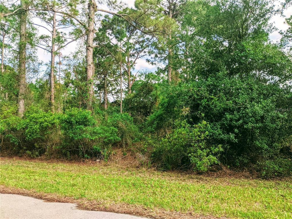 Property Photo:  Lot 25 Granito Avenue  FL 34291 