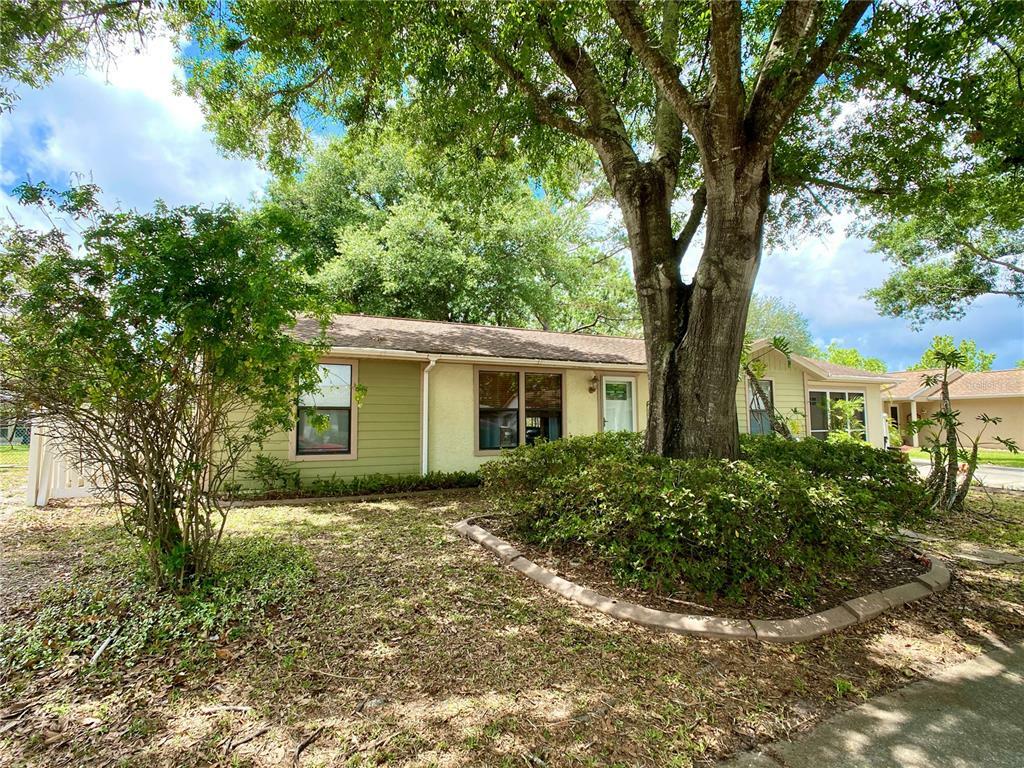Property Photo: 8033 Banister Lane FL 34668