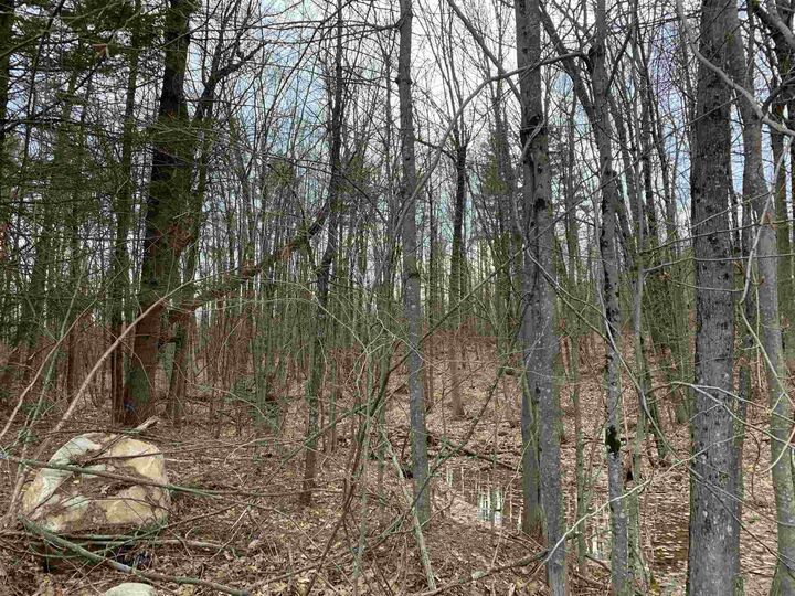 Property Photo:  40 Neal Hill Road  NH 03816 