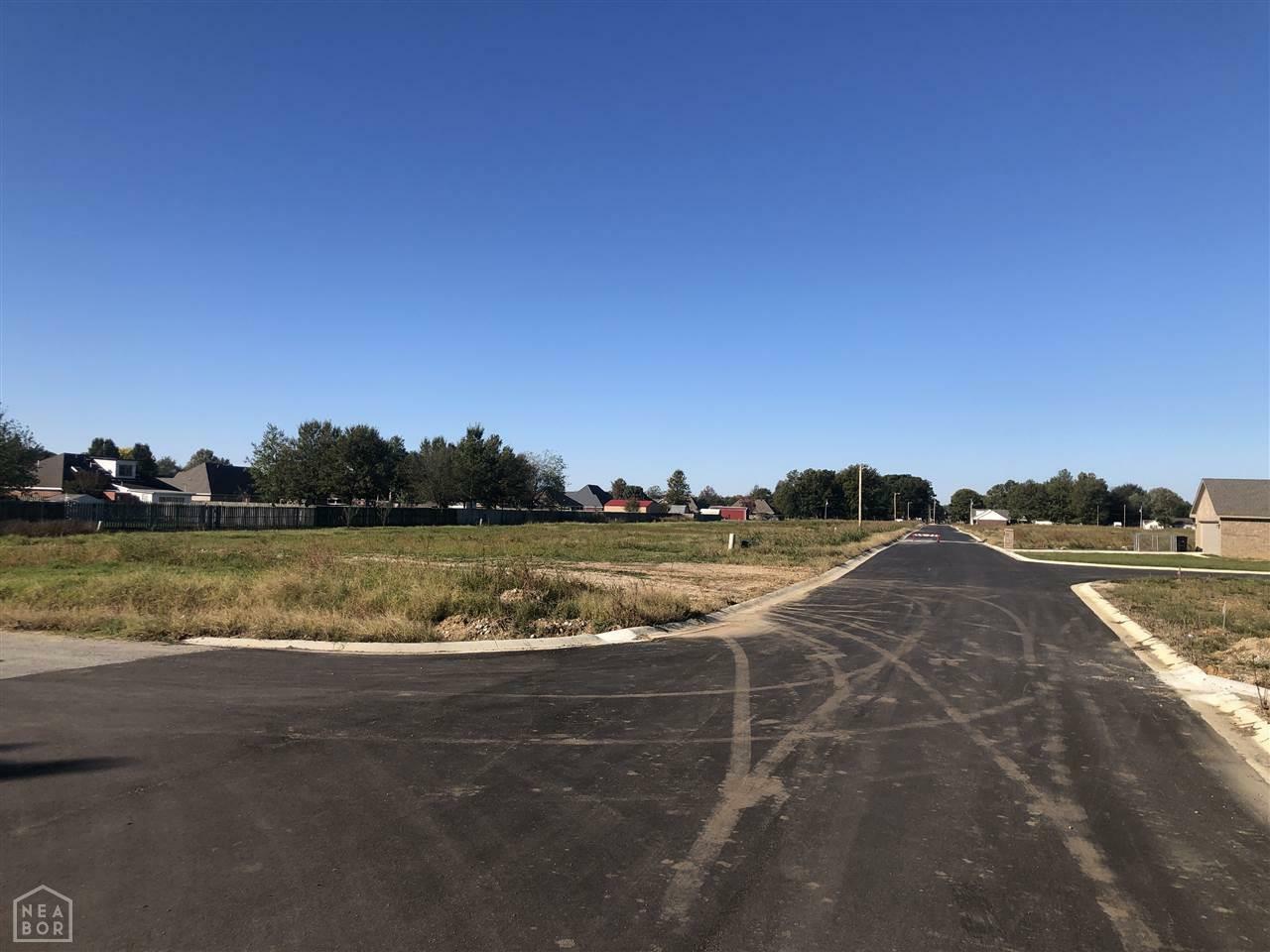 Property Photo:  Lot 11 Stella  AR 72472 