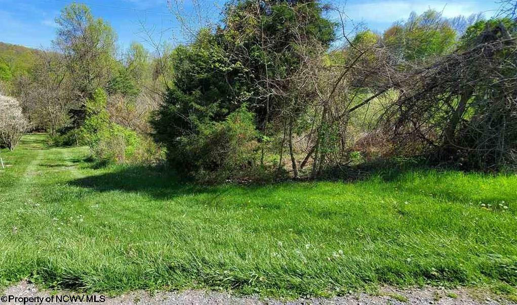 Property Photo:  Tbd Point Marion Road  WV 26508 