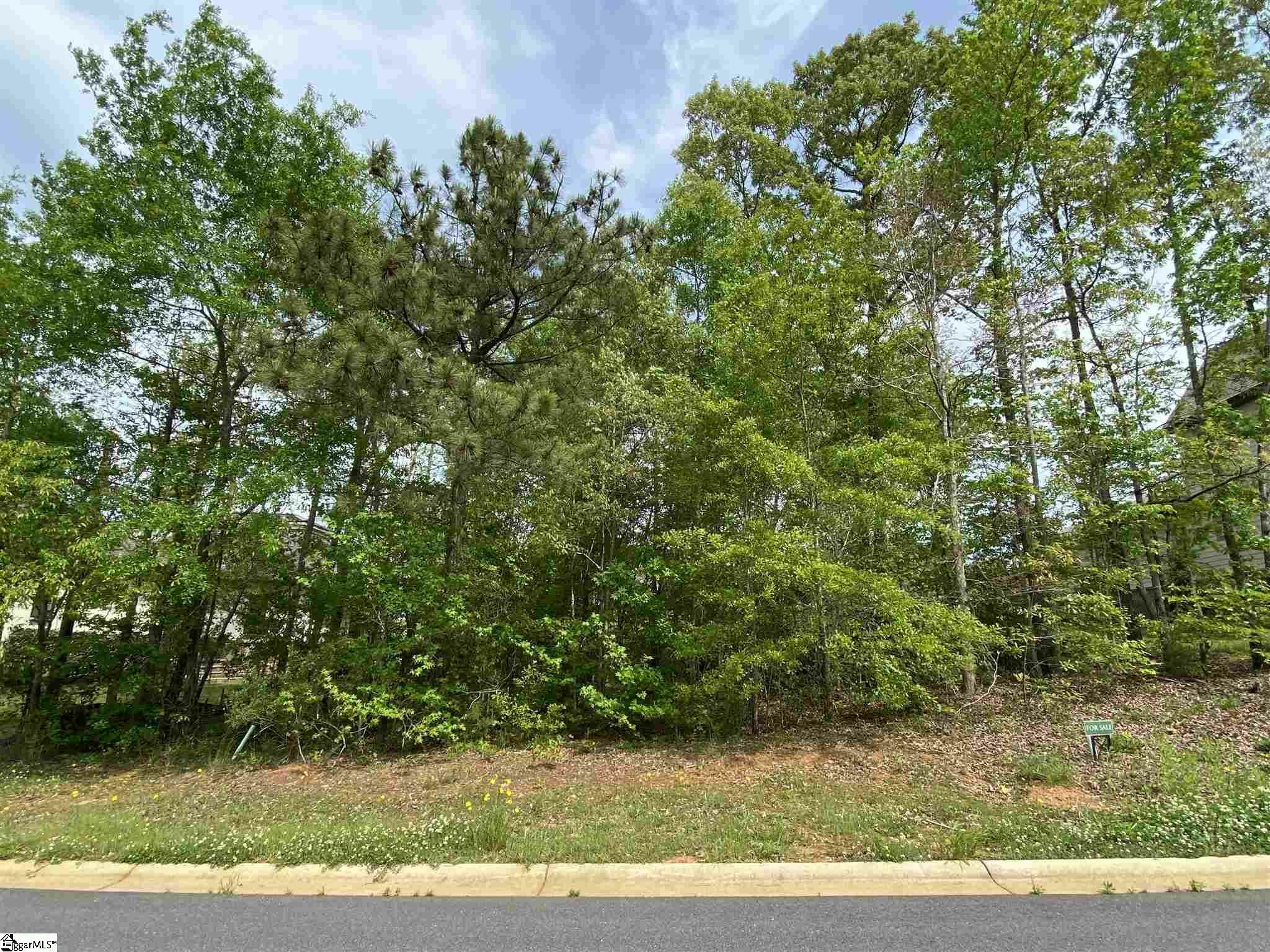 Property Photo:  221 Saluda Run Trail  SC 29673 