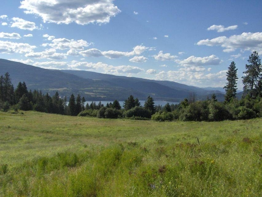 Property Photo:  1237 Lot D Gold Edge Mine Rd  WA 99141 