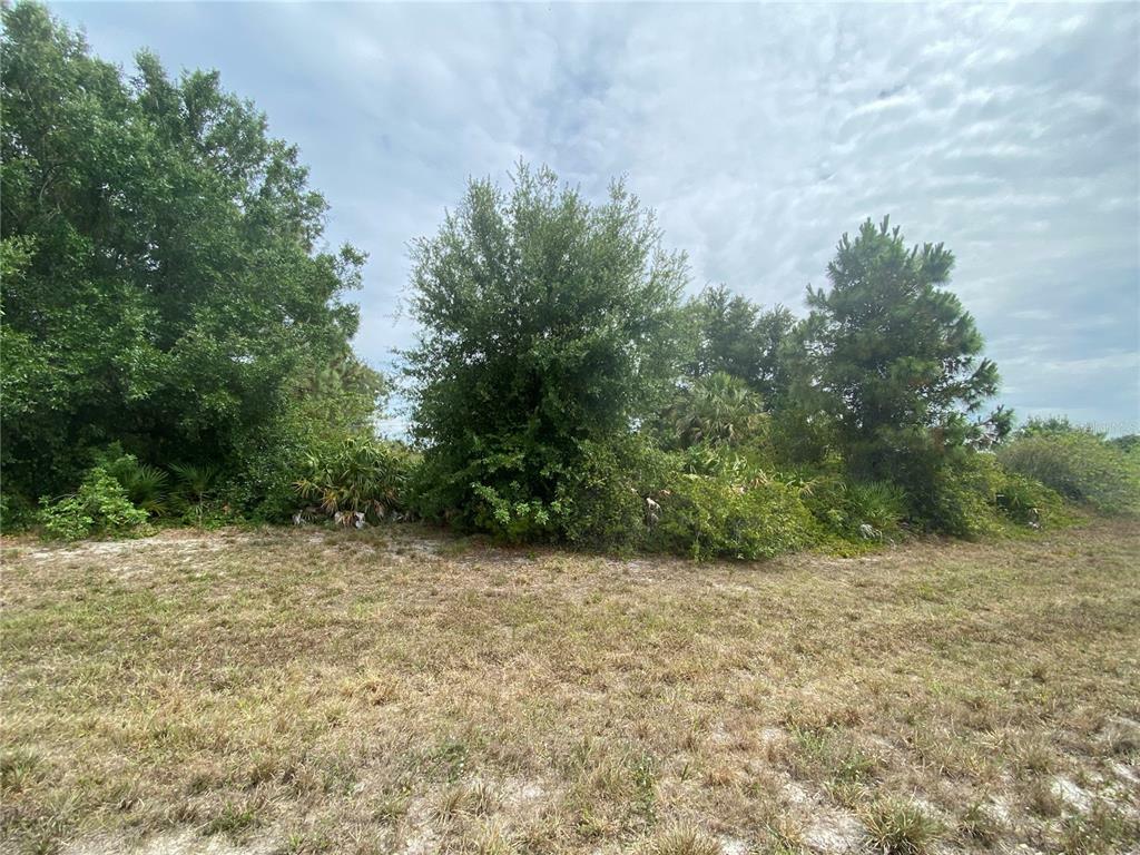 Property Photo:  118 Smallwood Road  FL 33947 