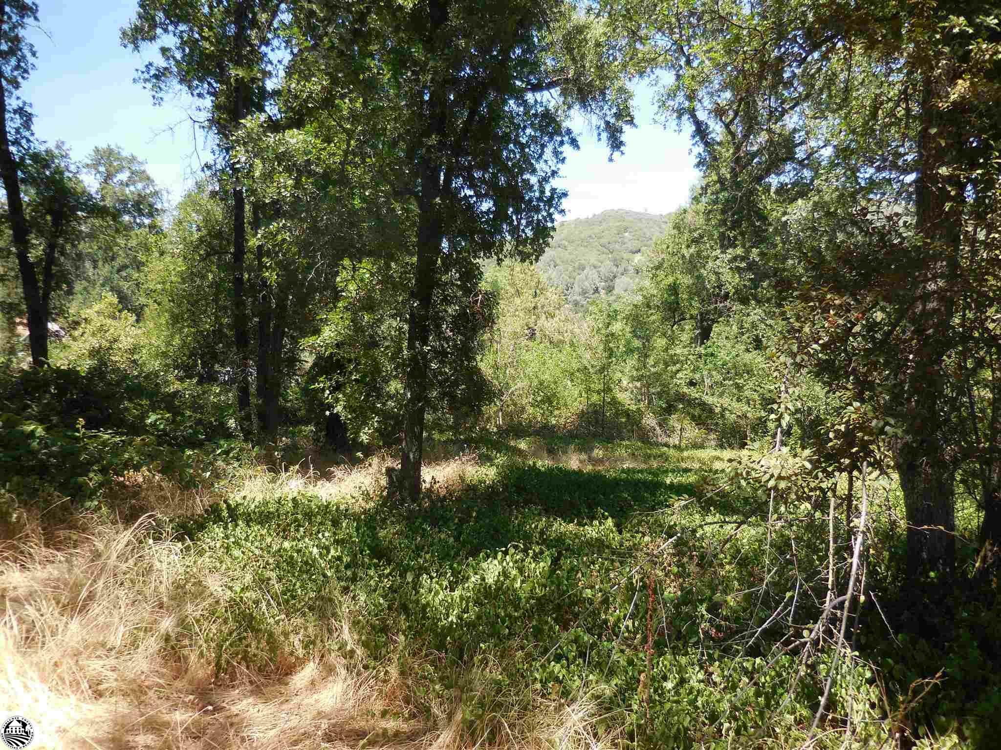 Property Photo:  .74 Acres Preston Place  CA 95370 