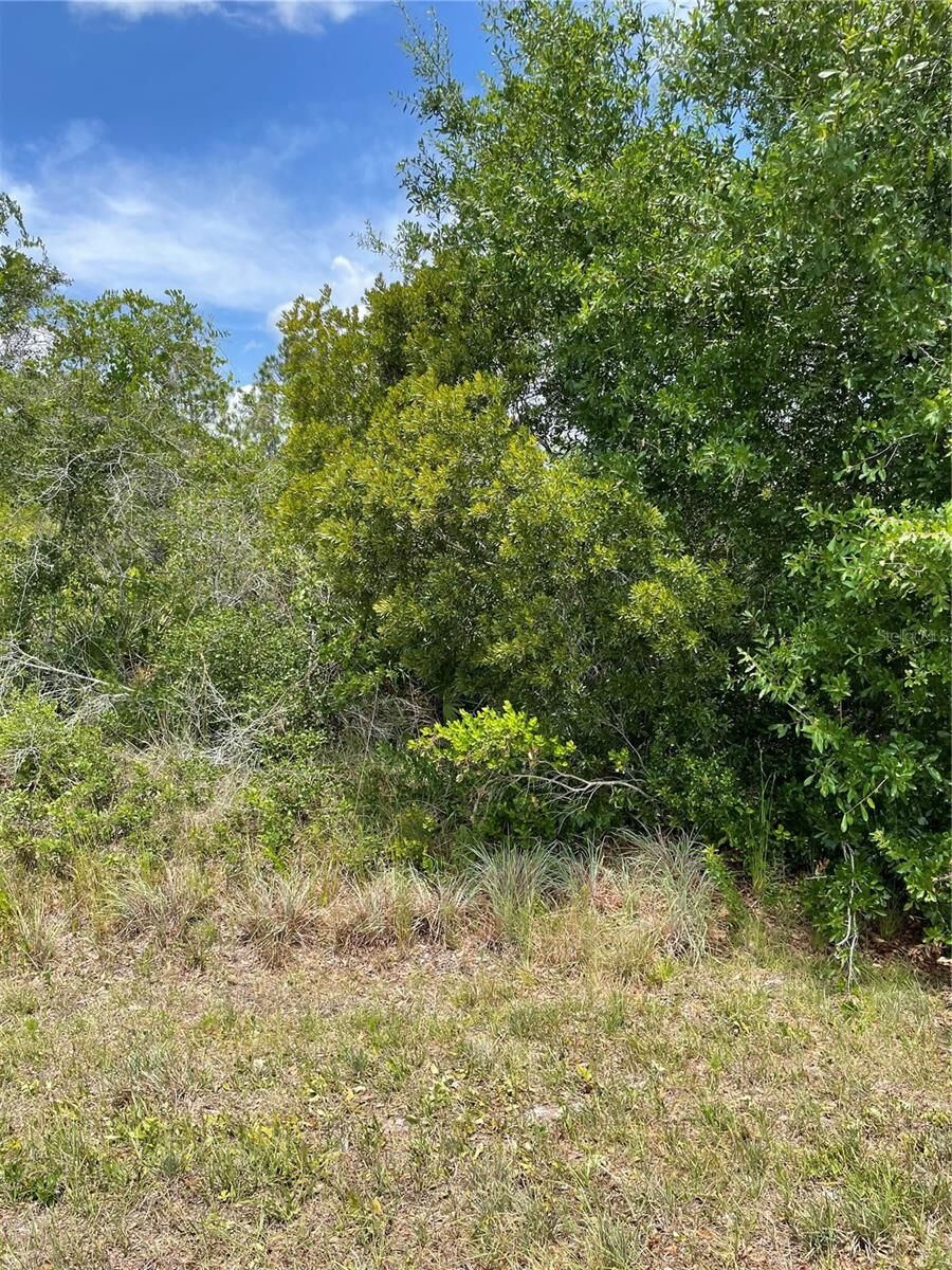 Property Photo: 33514, 33522,33528 Washington Loop Road FL 33982