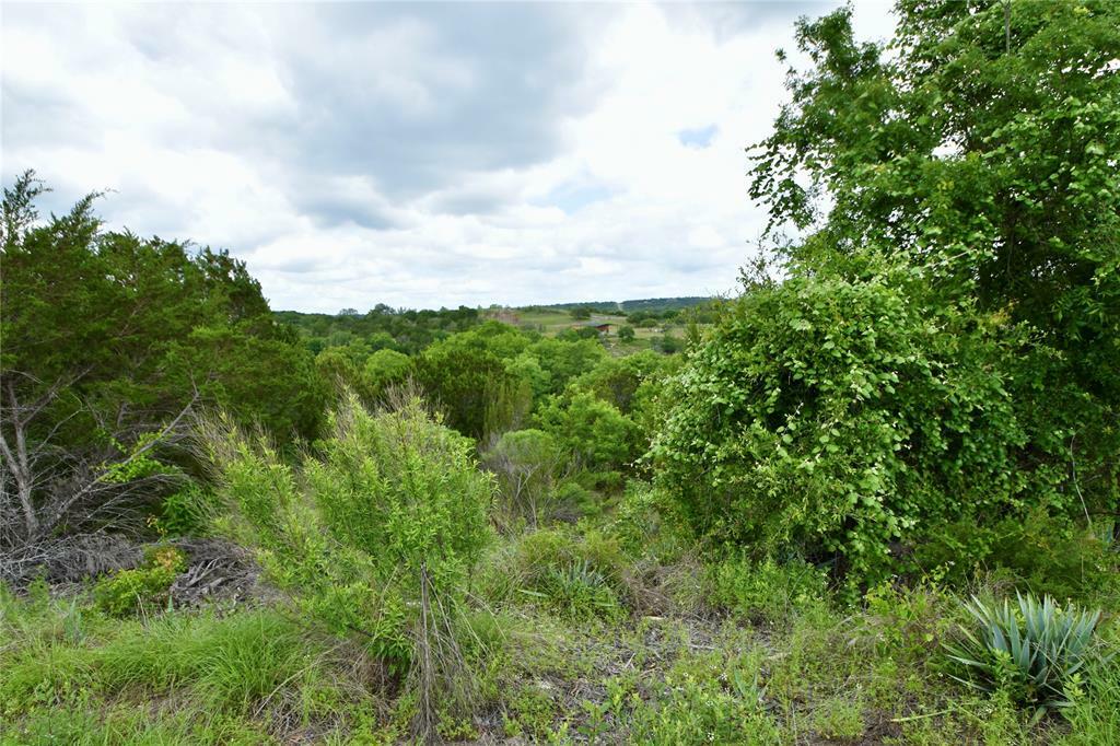 Property Photo:  3030 Beacon Lake Drive  TX 76433 