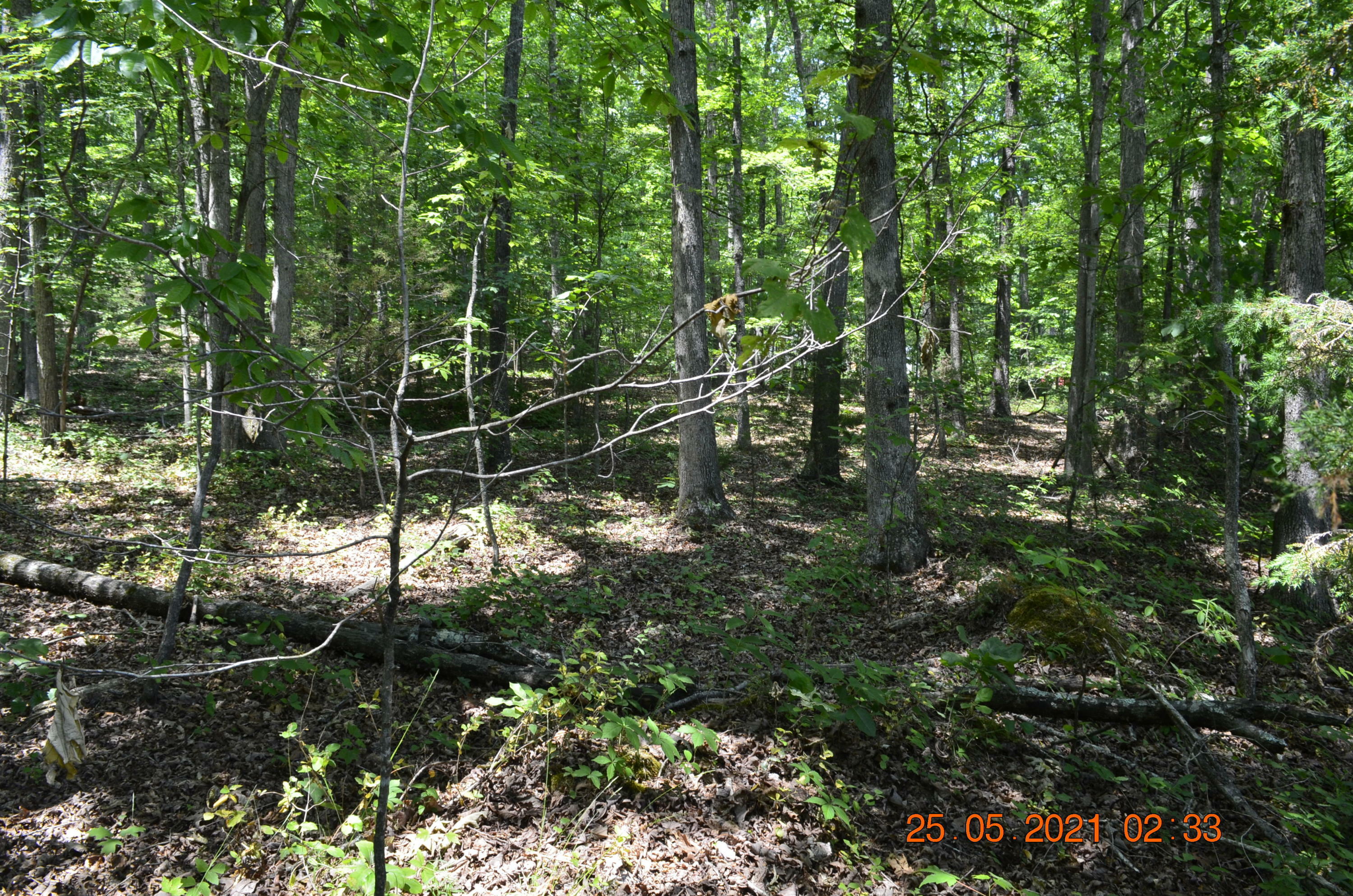 Property Photo:  Myers Rd  TN 37763 