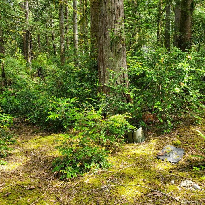 Property Photo:  644 E Pitcairn Place  WA 98584 