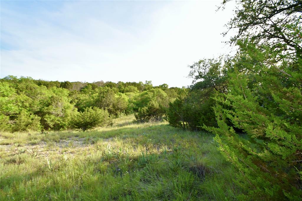 Property Photo:  460 Blue Marlin  TX 76433 