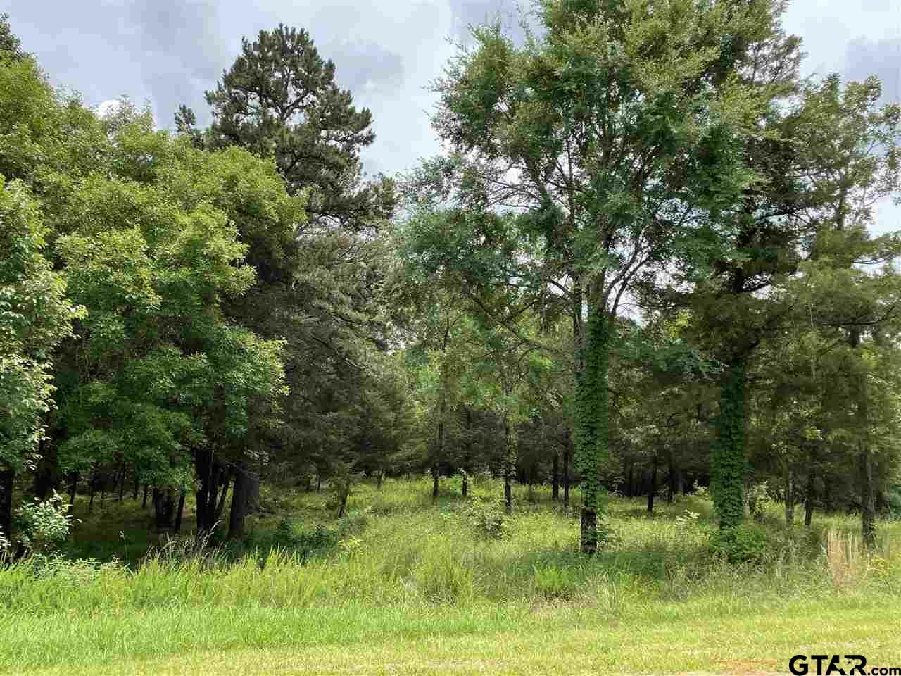 Property Photo:  15920 Shepards Glen  TX 75771 