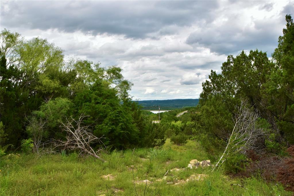 Photo de la propriété:  2485 Sunfish Point  TX 76433 