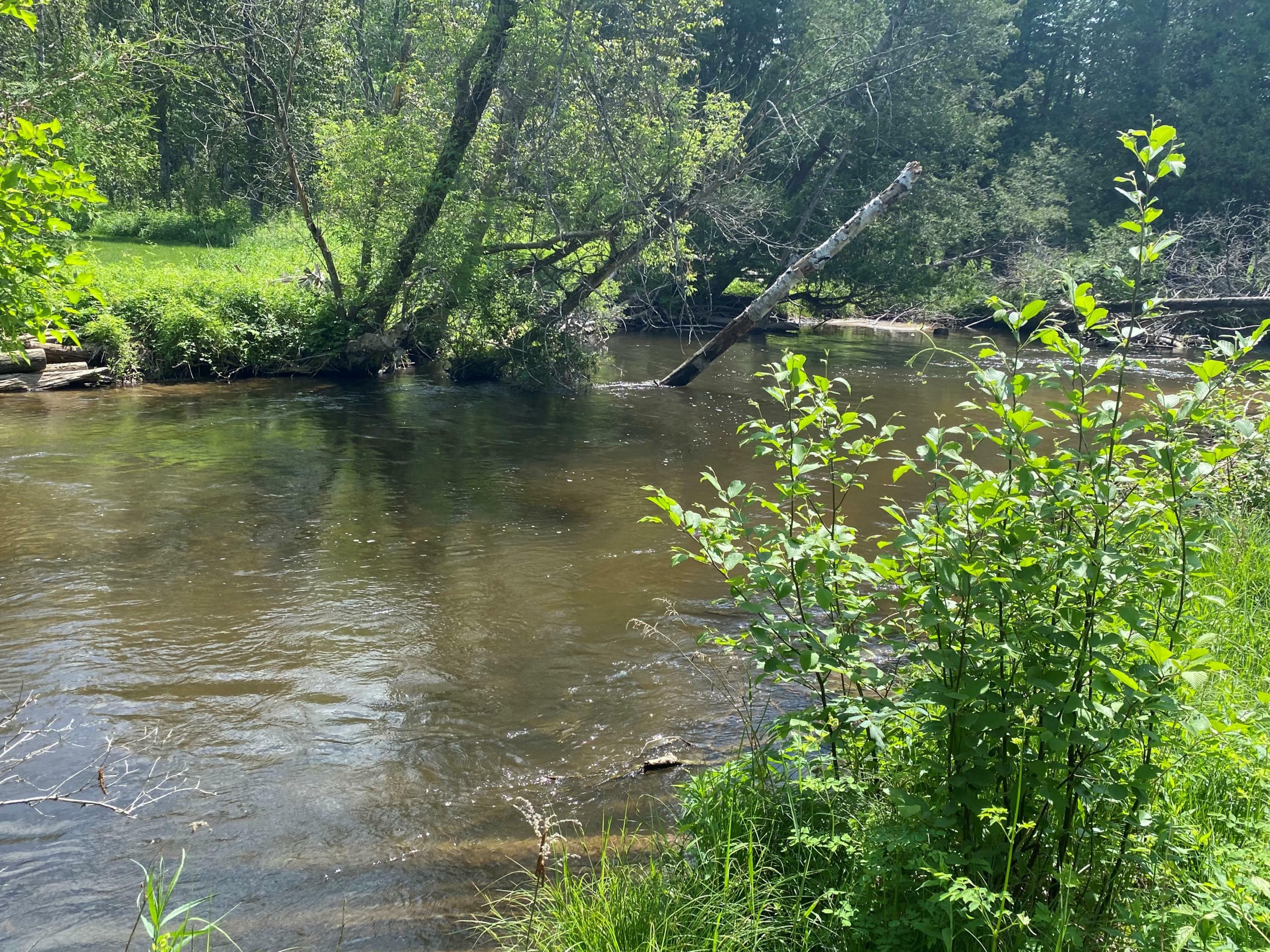 Property Photo: 8055&Amp8073 Sturgeon Valley Drive MI 49749