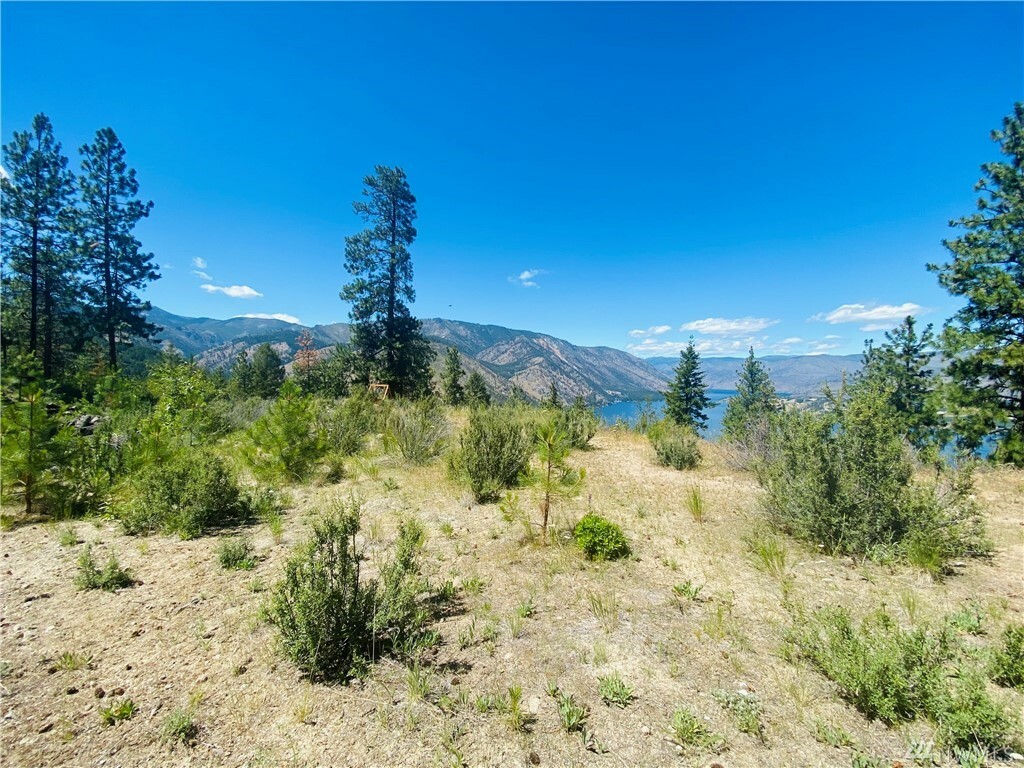 Property Photo: 194 Bear Ridge Lane WA 98816